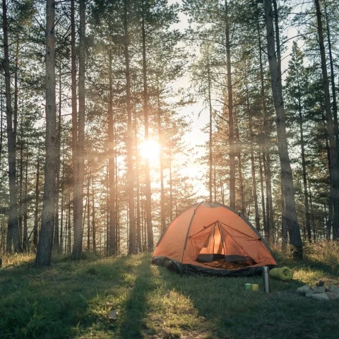 Tent Camping